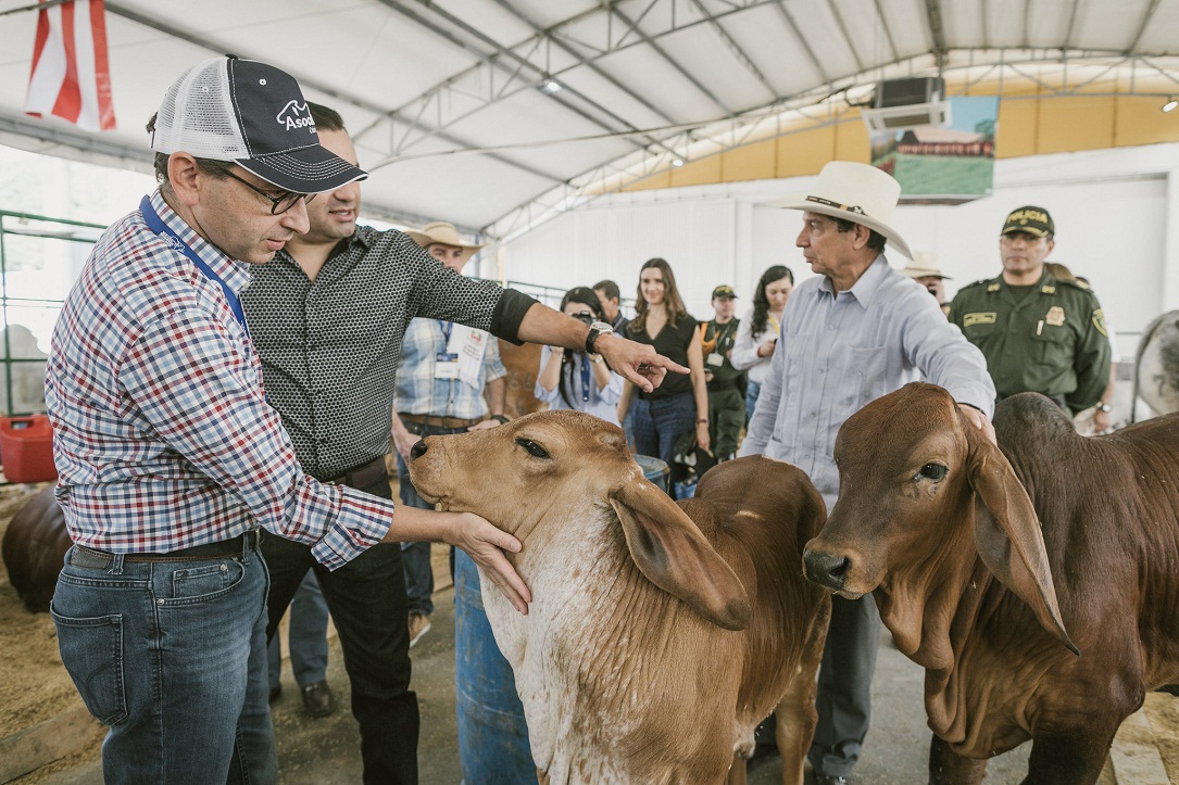 32305712758_9b0ca96136_k