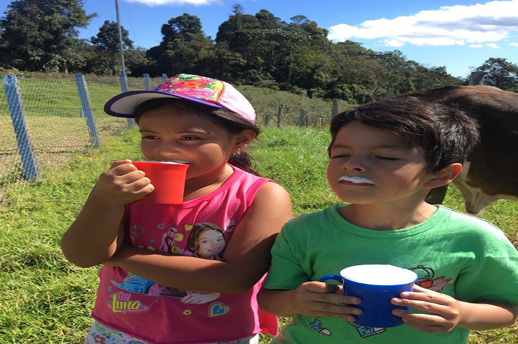 Foto para consumo de leche en niños 1