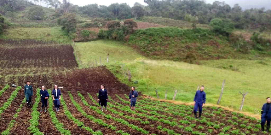 Agro1