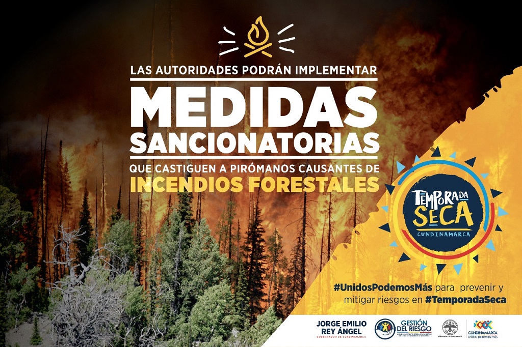 CAMPAÑA INCENDIOS 1