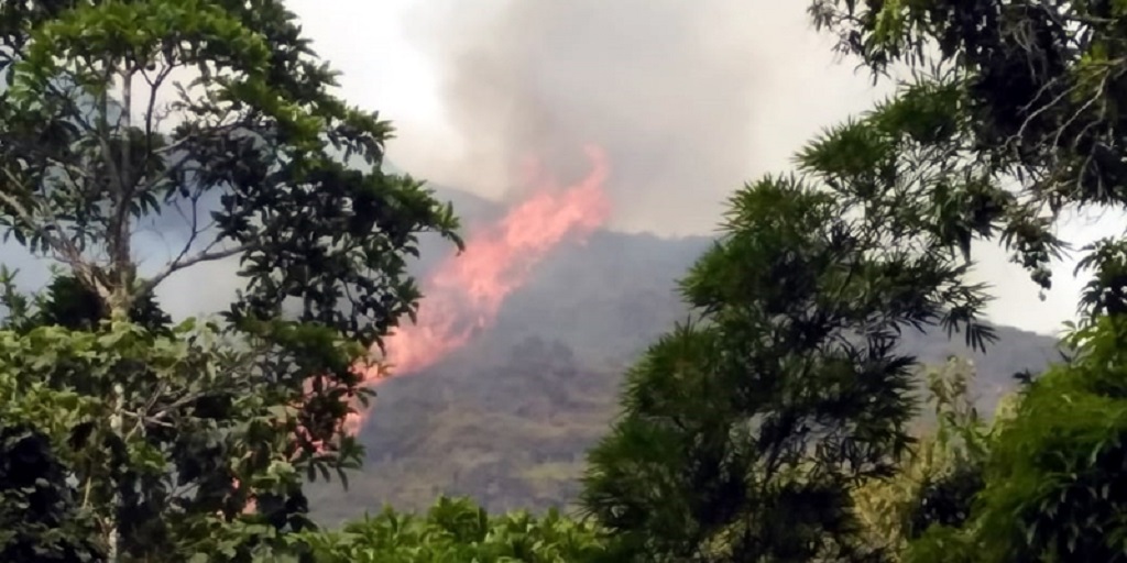 Incendio