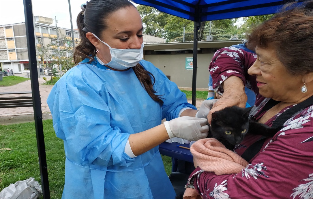 jornadavacunacionantirrabica_1