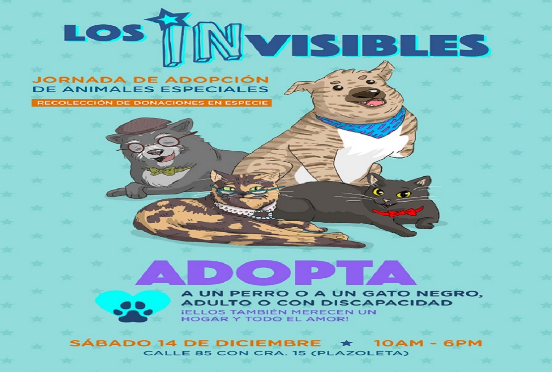 Los Invisibles