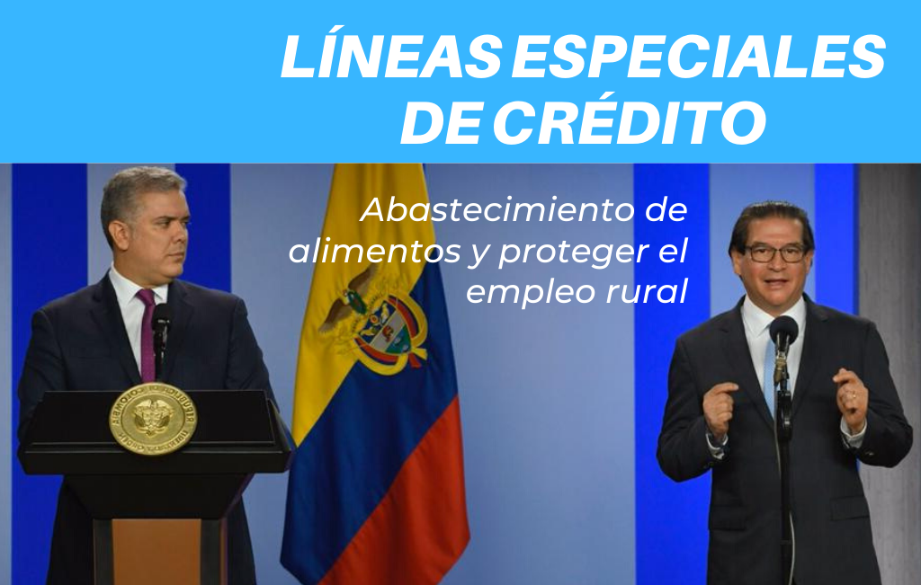 LINEAS (1)
