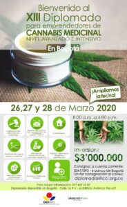 Promo Diplomado Versión 13