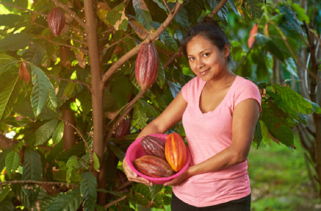 mujercacaotera