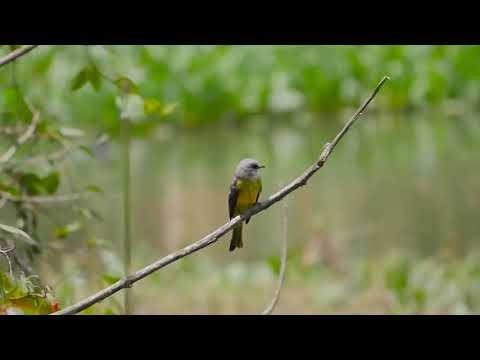 Reapertura-humedales