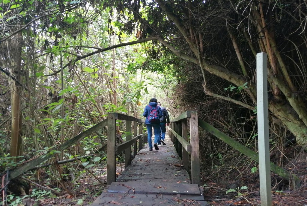 caminata