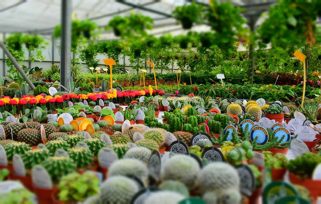 agrofuturo