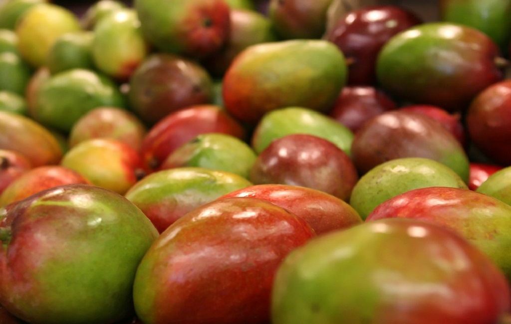 mango1