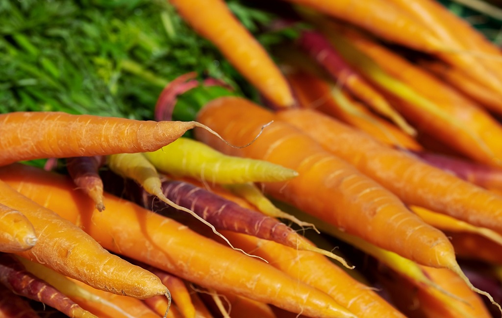 Zanahorias
