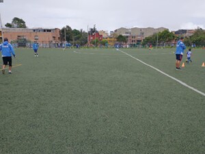 Cancha