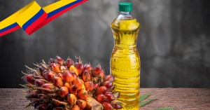 colombia-se-convirtio-potencia-del-aceite-de-palma-america-latina