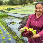Exportaciones colombianas crecieron 20,9 % en marzo y superaron los US$5.300 millones