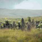 RAP-E alerta por posible llegada del fenómeno de El Niño y aumento de riesgos climáticos en la Región Central
