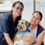 Brigada gratuita de bienestar animal en Bogotá atenderá a 1.000 animales este sábado