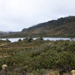 Fondo Verde para el Clima dona más de $145.000 millones para proteger el agua de Bogotá y Cundinamarca