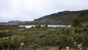 Páramo y ecosistemas de montaña que protegen las fuentes de agua de Bogotá y Cundinamarca.